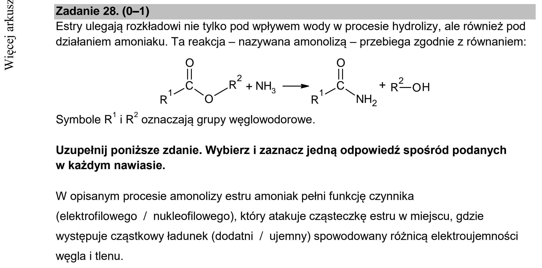 Matura dodatkowa, czerwiec 2022, podgląd zadania 28