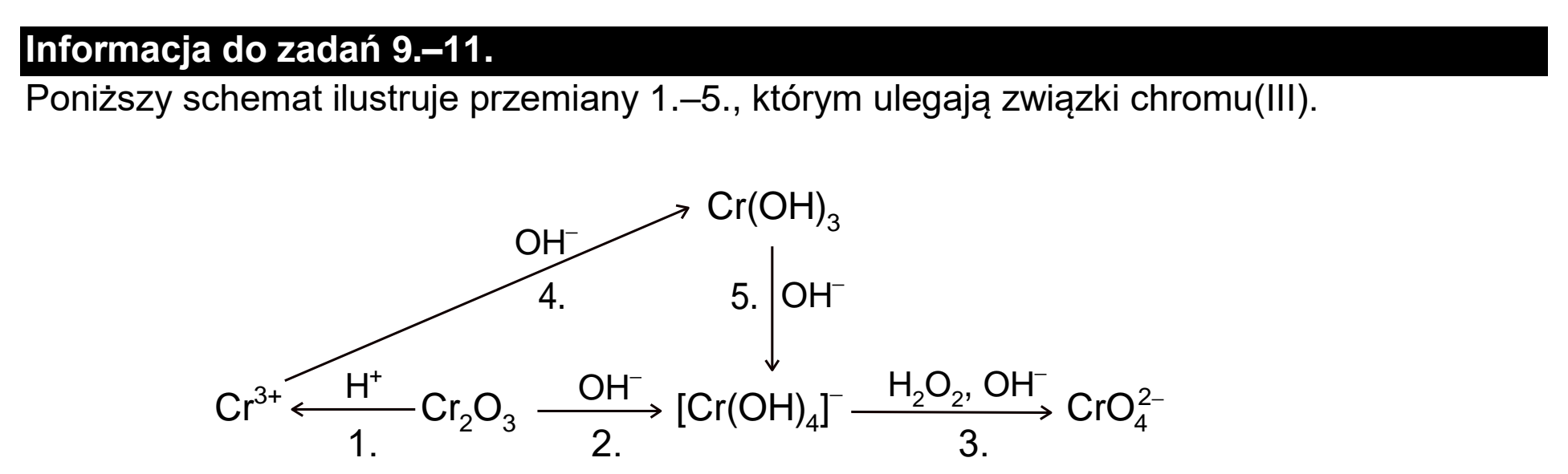 Matura dodatkowa, czerwiec 2022, podgląd zadania 8, fragment 2