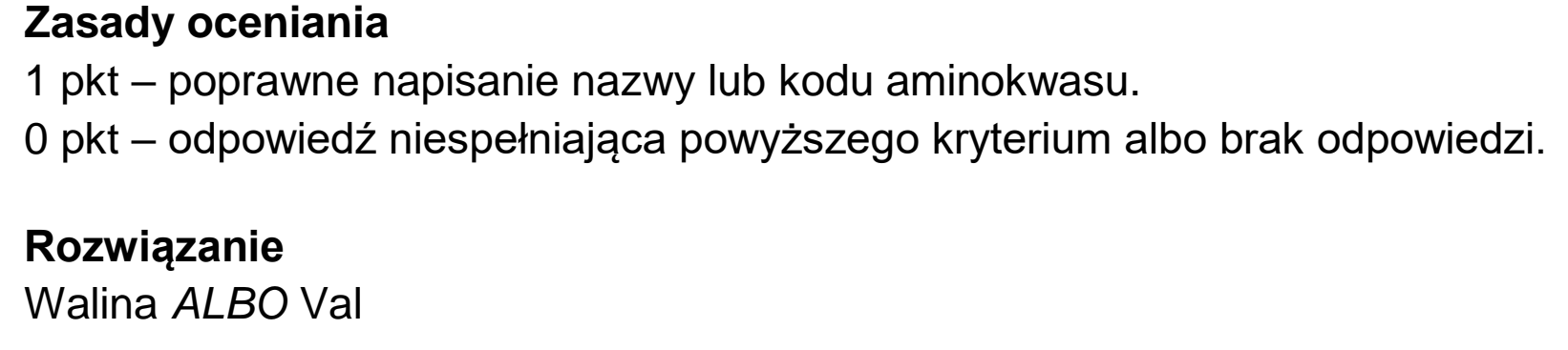 Matura dodatkowa, czerwiec 2024, odpowiedź do zadania 33