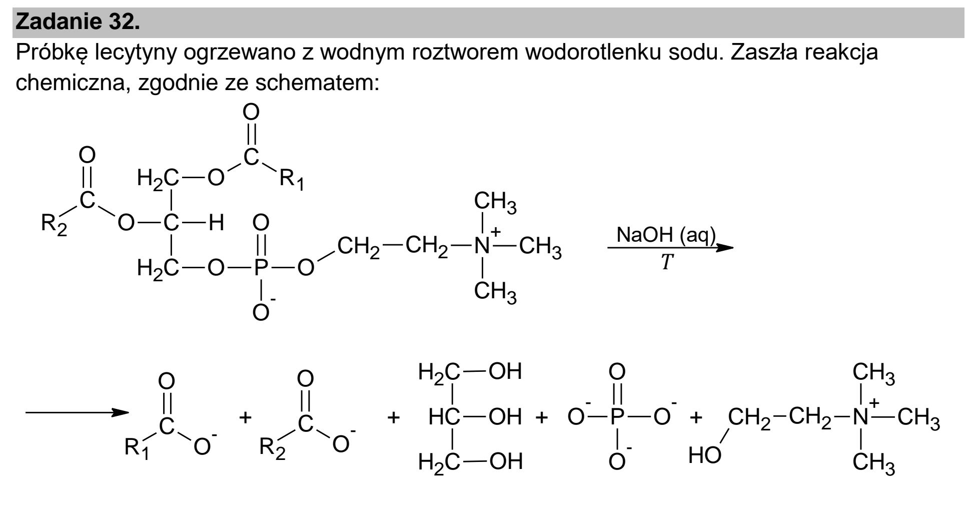 Matura dodatkowa, czerwiec 2024, wstęp zadania 32