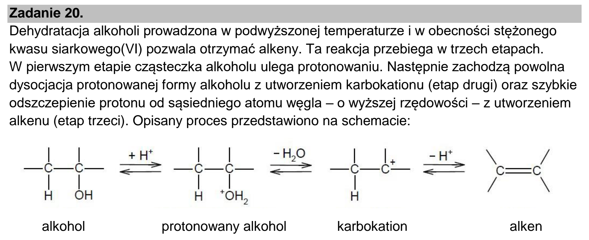 Matura dodatkowa, czerwiec 2025, wstęp zadania 20, fragment 1