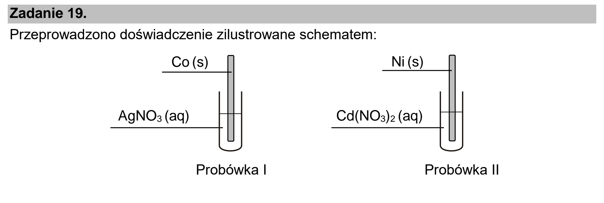 Matura dodatkowa, czerwiec 2026, wstęp zadania 19