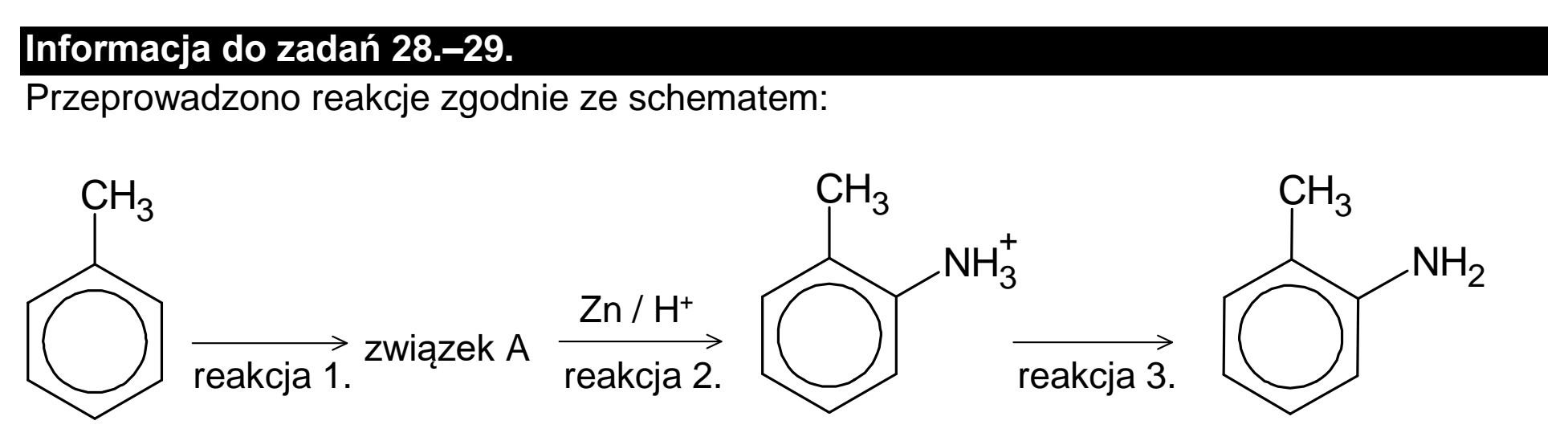 Matura, maj 2024, podgląd zadania 27, fragment 2