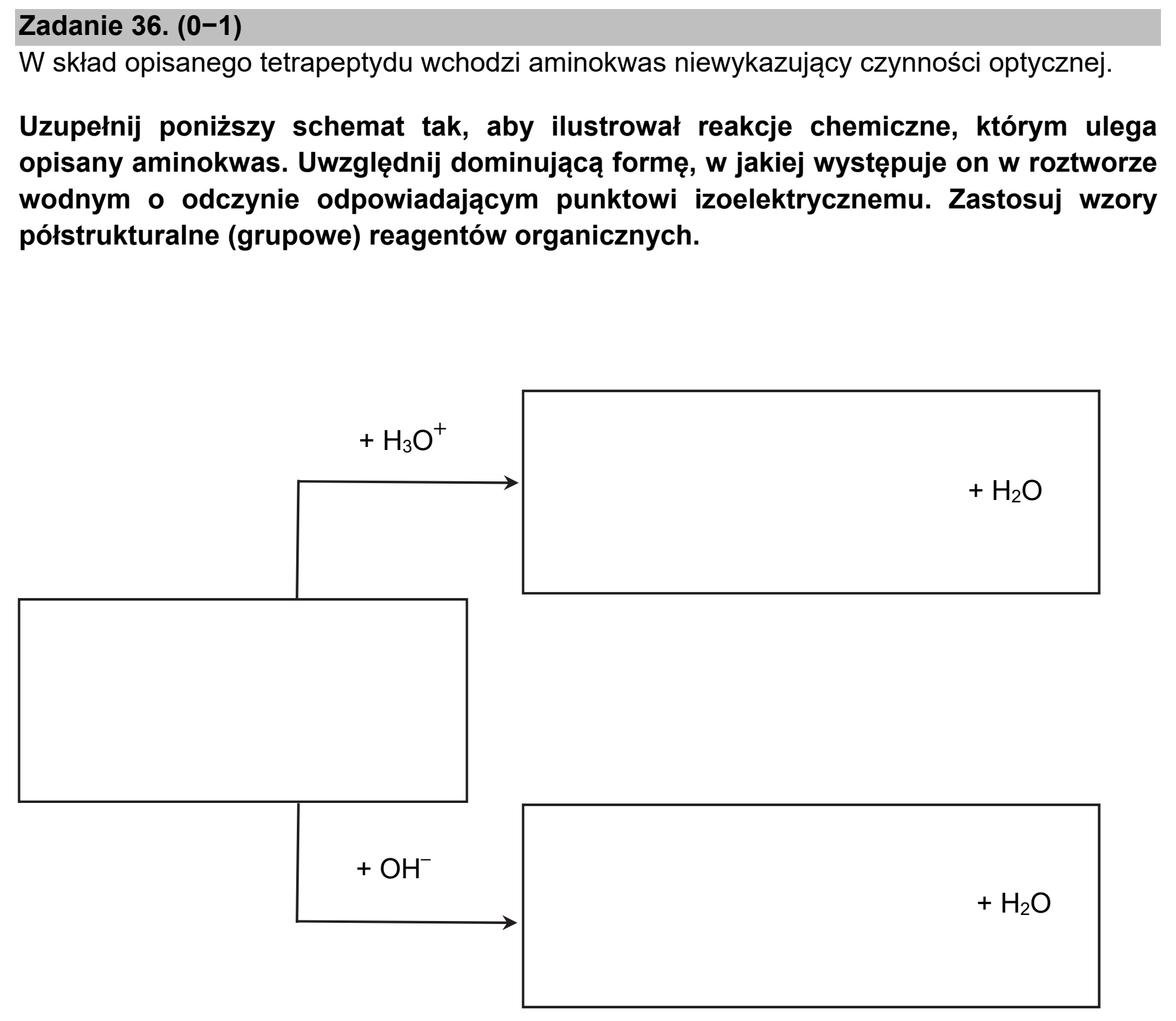 Matura próbna, marzec 2021, podgląd zadania 36