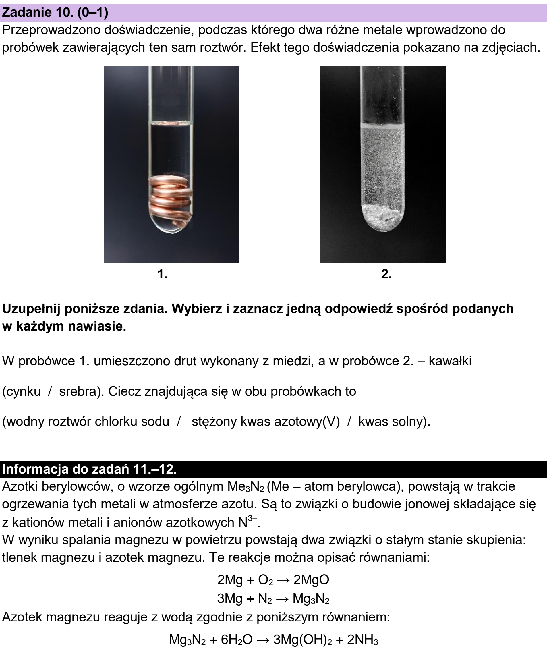 Matura dodatkowa, czerwiec 2024, podgląd zadania 10
