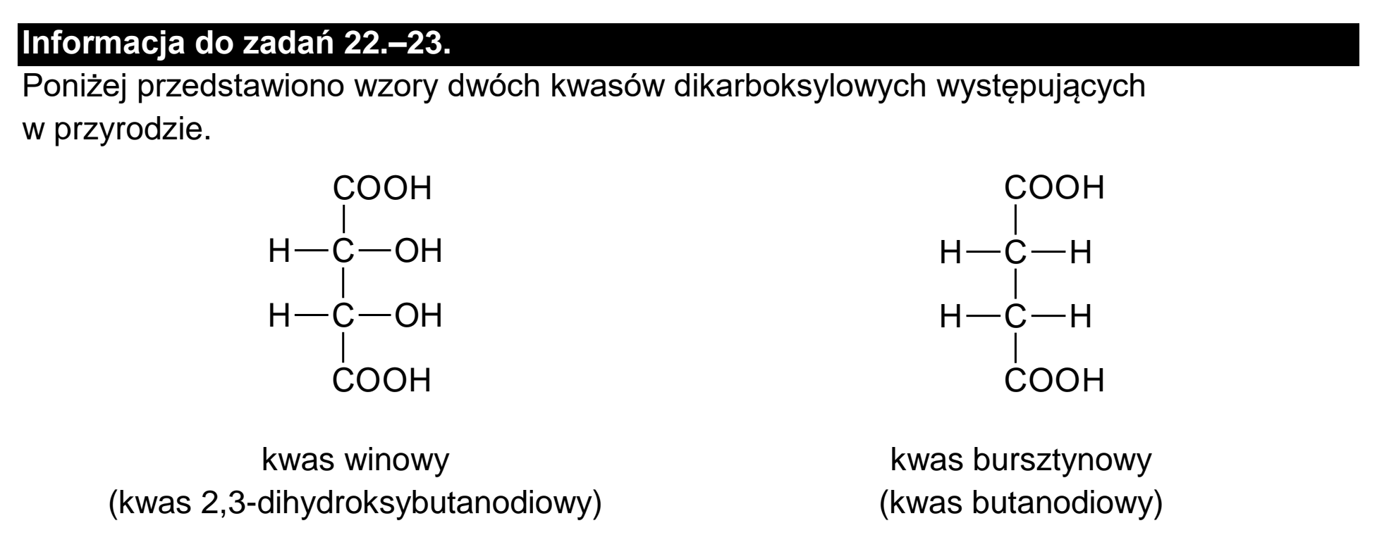 Matura dodatkowa, czerwiec 2024, podgląd zadania 21, fragment 2
