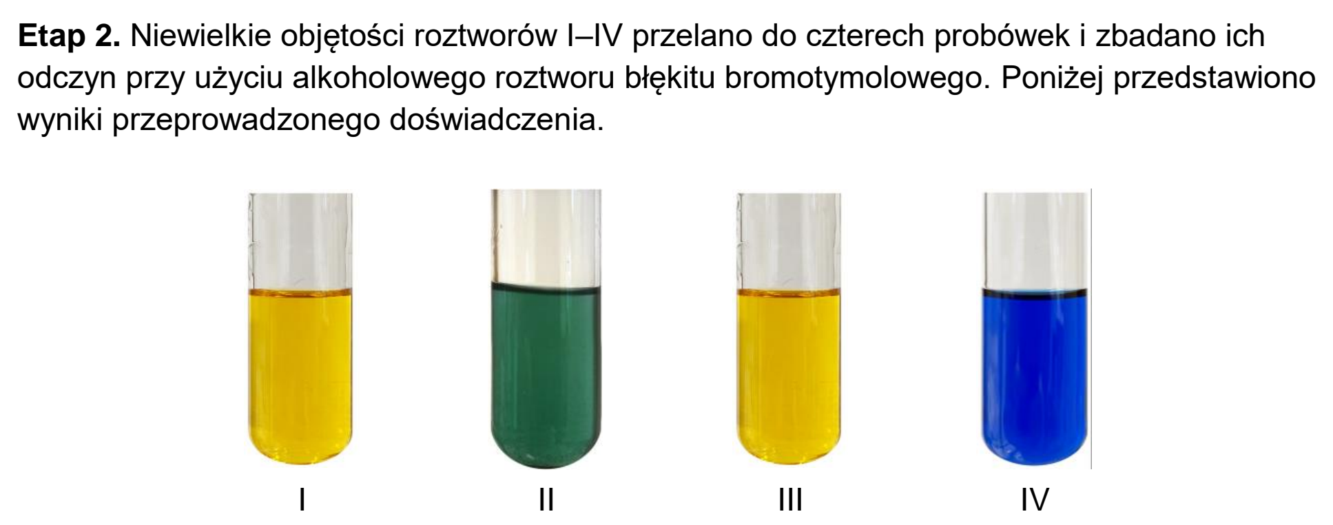 Matura próbna, grudzien 2024, wstęp zadania 15, fragment 2