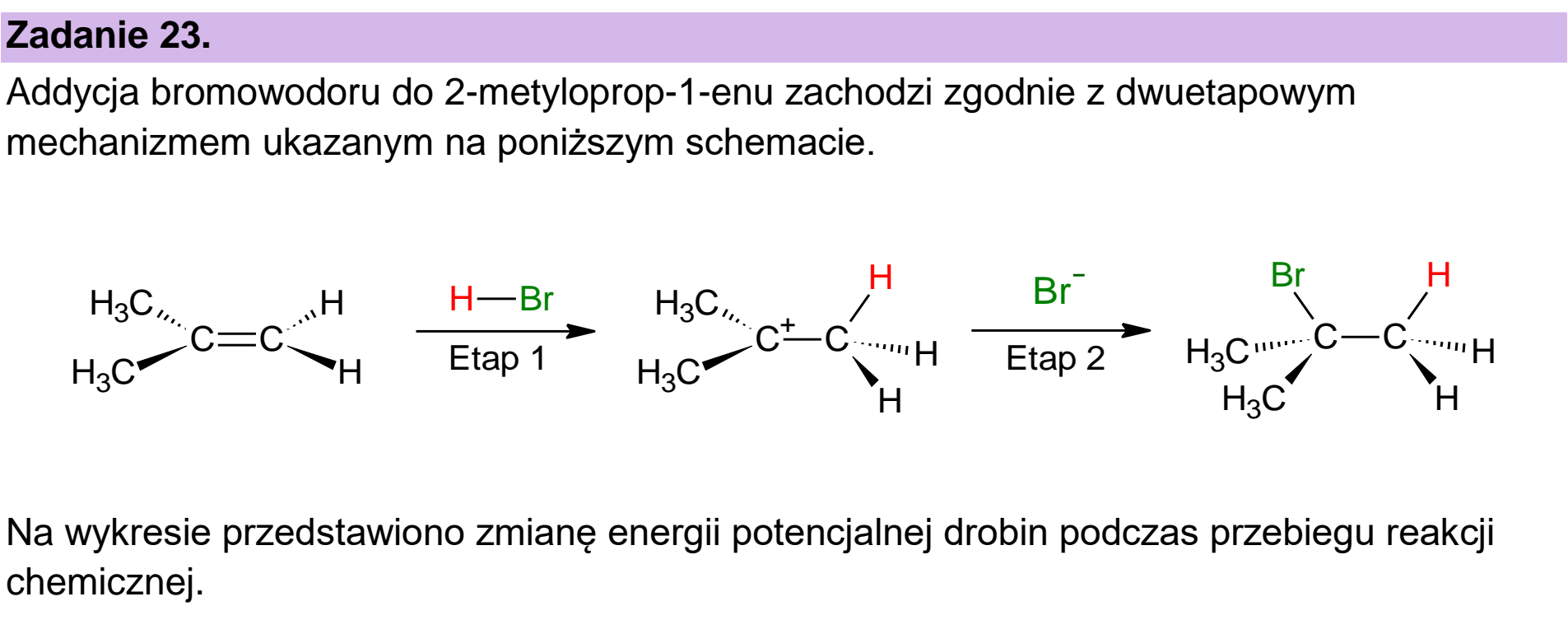 Matura próbna, grudzien 2024, wstęp zadania 23, fragment 1