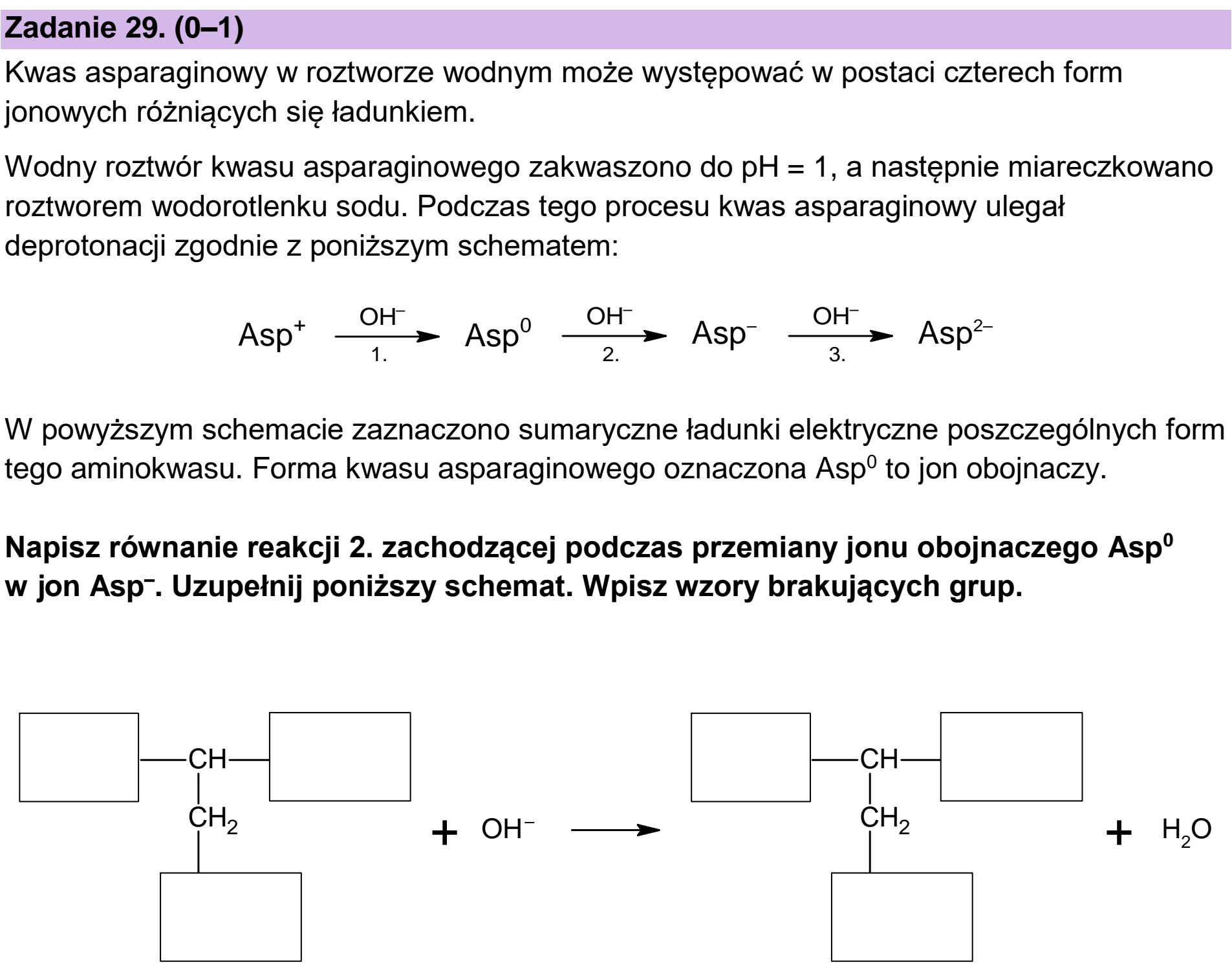 Matura próbna, grudzien 2024, podgląd zadania 29