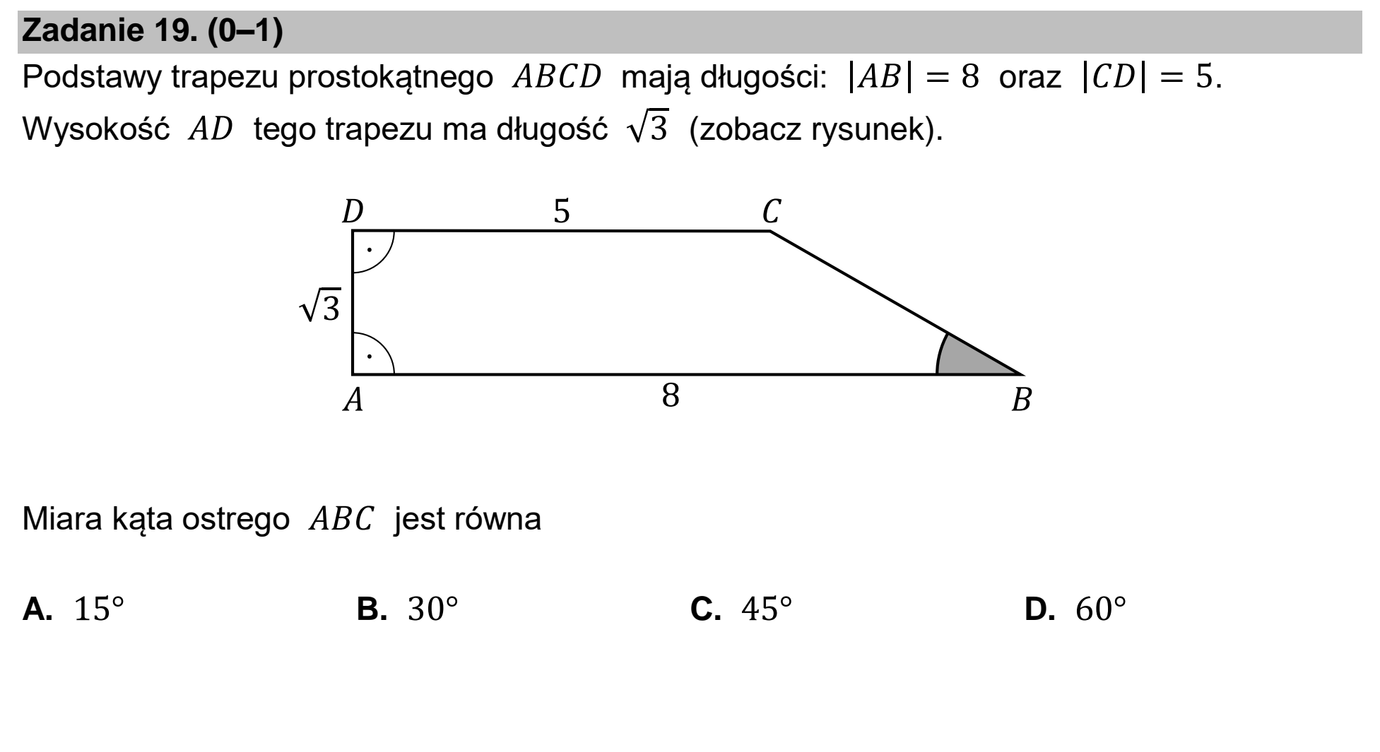 Matura dodatkowa, czerwiec 2024, podgląd zadania 19
