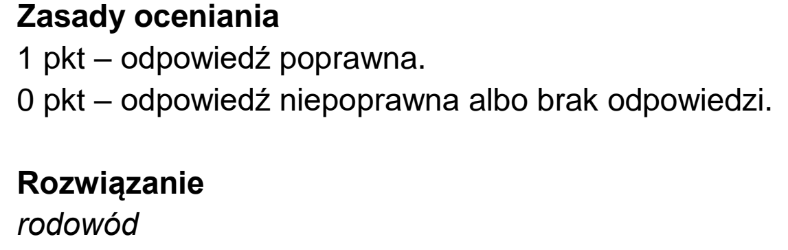 Matura dodatkowa, czerwiec 2026, odpowiedź do zadania 10