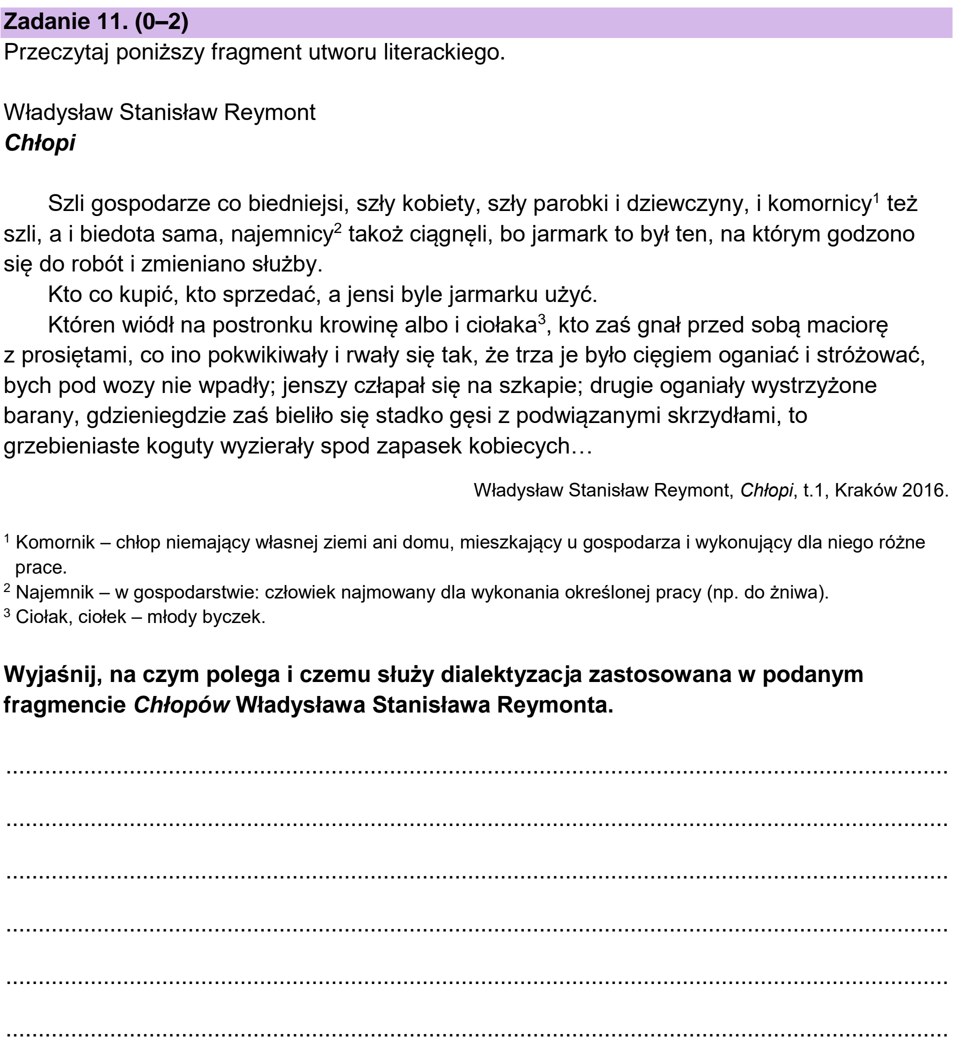 Matura dodatkowa, czerwiec 2025, podgląd zadania 11
